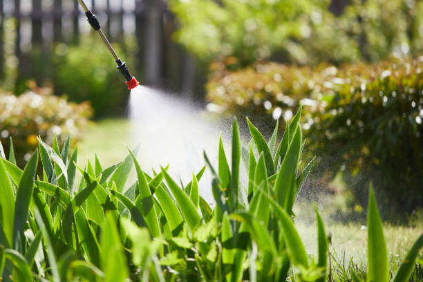 24/7 Emergency Mosquito Control experts in Chesterton, IN