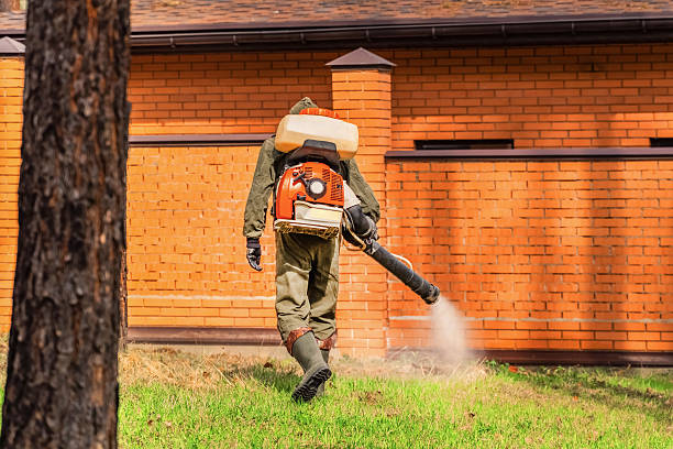 Top rated local Mosquito Control specialists in Chesterton, IN